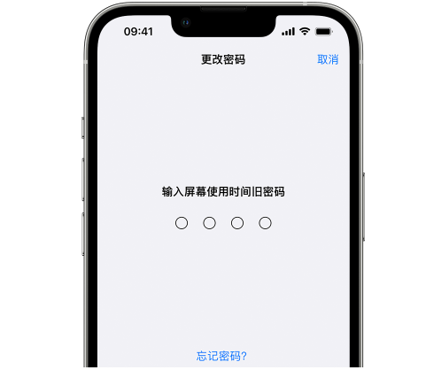 榆树iPhone屏幕维修分享iPhone屏幕使用时间密码忘记了怎么办 