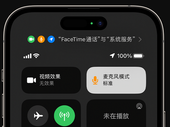 榆树苹果授权维修网点分享iPhone在通话时让你的声音更清晰 