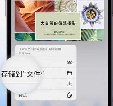 榆树apple维修中心分享iPhone文件应用中存储和找到下载文件