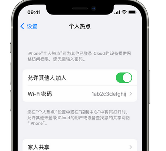 榆树apple服务站点分享iPhone上个人热点丢失了怎么办 