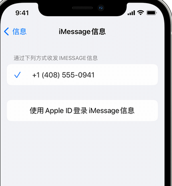 榆树apple维修iPhone上无法正常发送iMessage信息