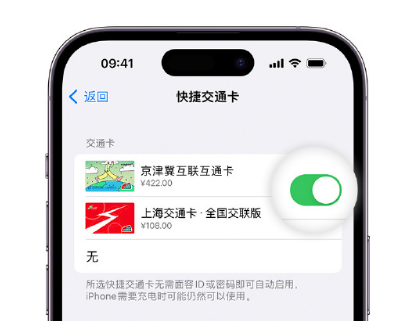 榆树apple维修点分享iPhone上更换Apple Pay快捷交通卡手绘卡面 