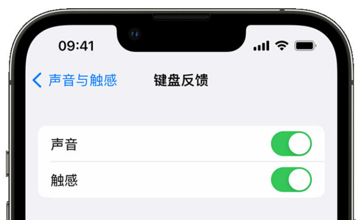 榆树苹果手机维修分享iPhone 14触感键盘使用方法 