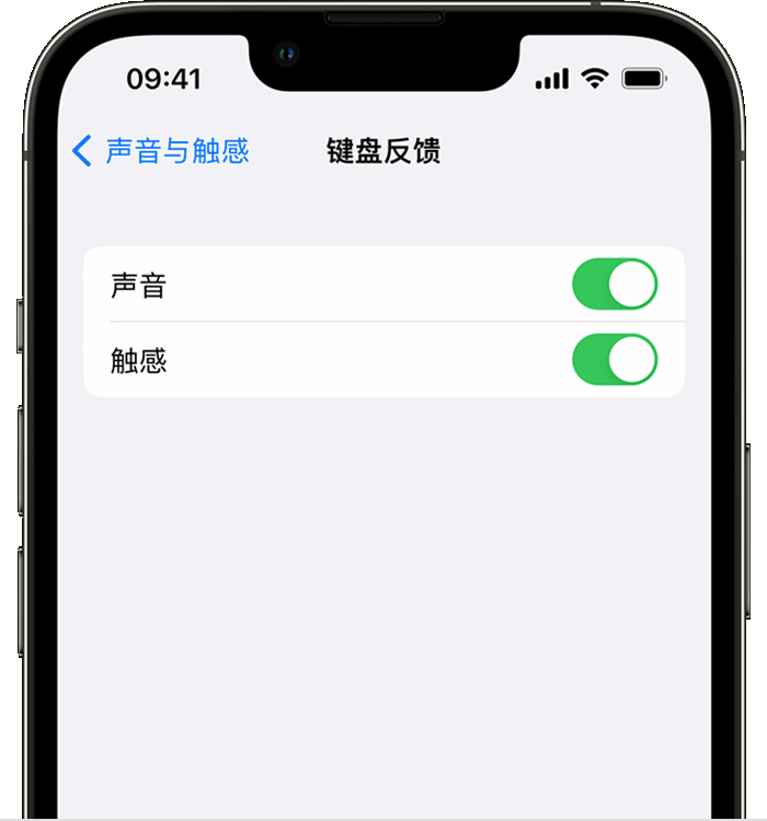 榆树苹果14维修店分享如何在 iPhone 14 机型中使用触感键盘 