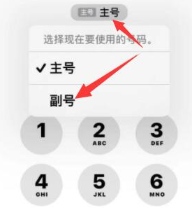 榆树苹果14维修店分享iPhone 14 Pro Max使用副卡打电话的方法 