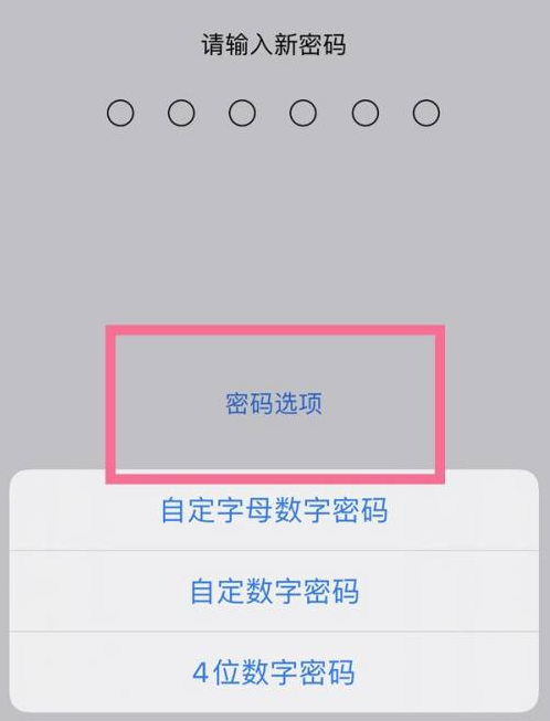 榆树苹果14维修分享iPhone 14plus设置密码的方法 