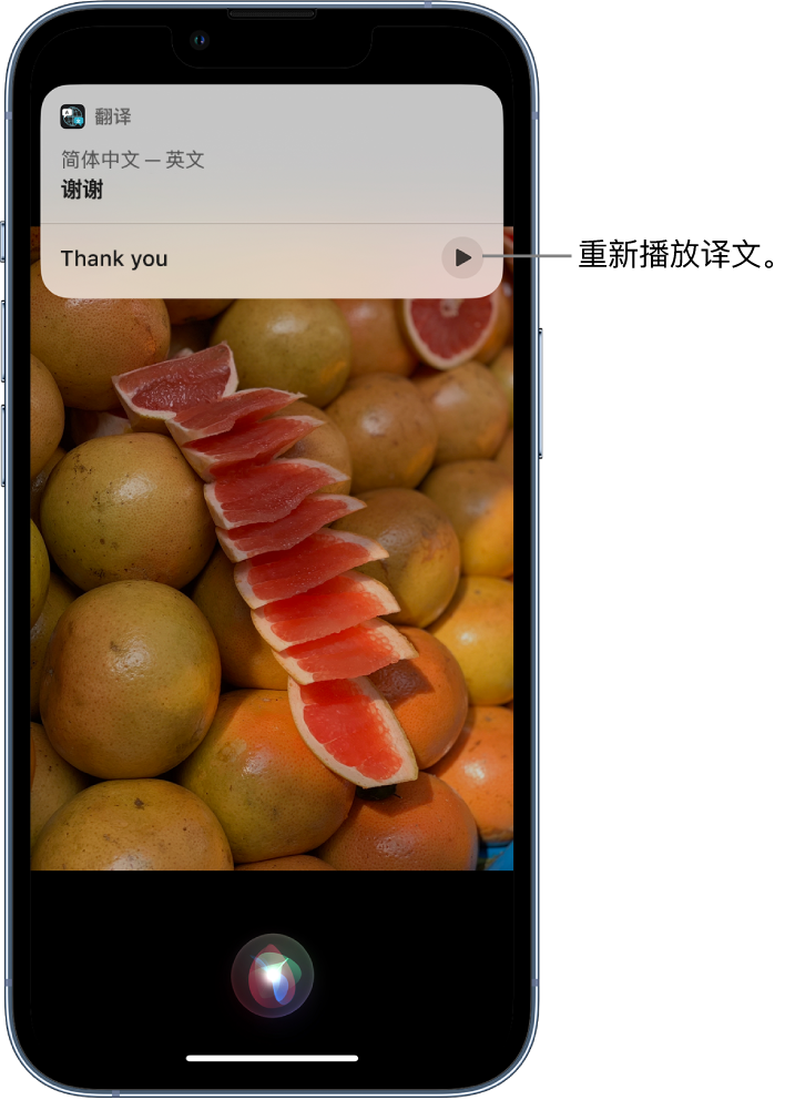 榆树苹果14维修分享 iPhone 14 机型中使用 Siri：了解 Siri 能帮你做什么 