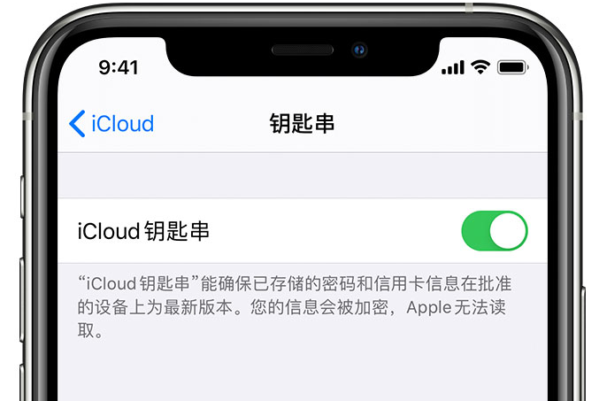 榆树苹果手机维修分享在 iPhone 上开启 iCloud 钥匙串之后会储存哪些信息 