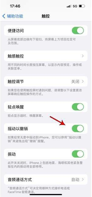 榆树苹果手机维修分享iPhone手机如何设置摇一摇删除文字 